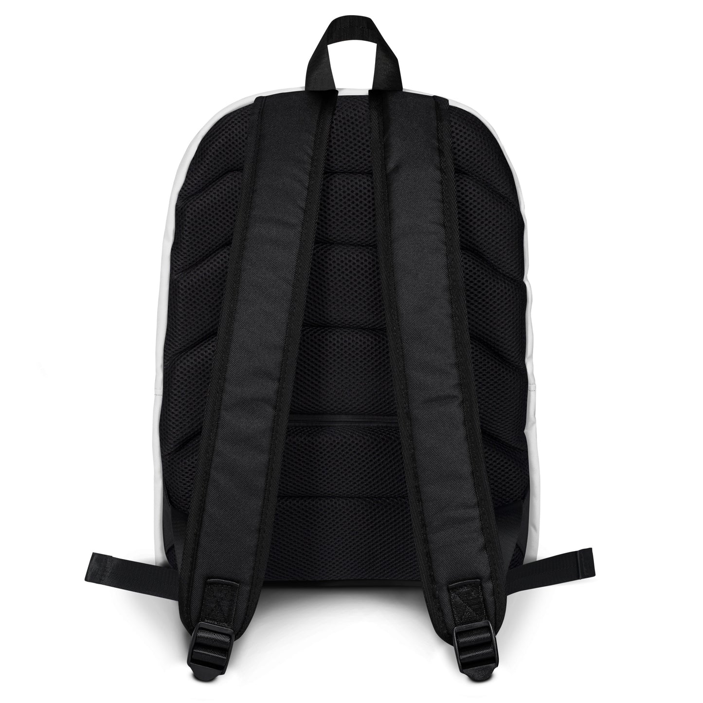 Cloud Human Intelligence Backpack